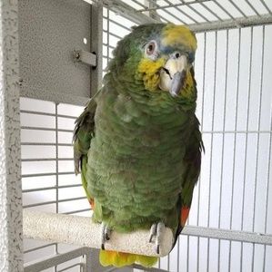 Meet your Posher, Nelson